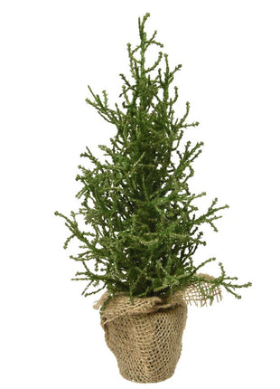 Mini kerstboom silver glitter voor binnen - groen - 12x30cm